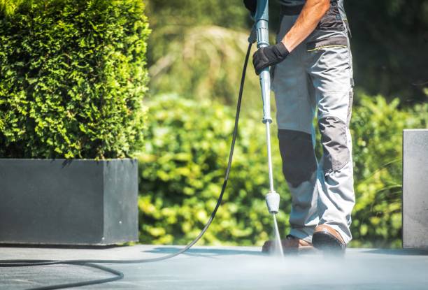 Best Pool Deck Cleaning  in Wfield, IN