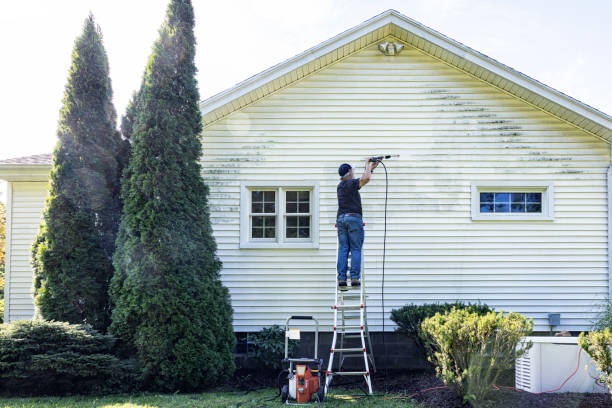 Animal Enclosure Cleaning in Winfield, IN